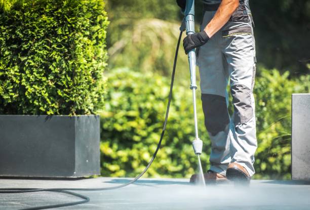 Best Roof Cleaning and Mildew Removal in Oak Ridge, NJ